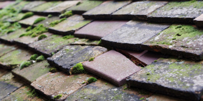 Graig roof repair costs